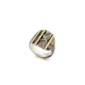 Structuur Signet Ring met Geelgoud Strepen